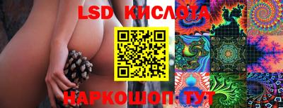 Альфа ПВП Ипатово
