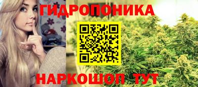 Альфа ПВП Ипатово