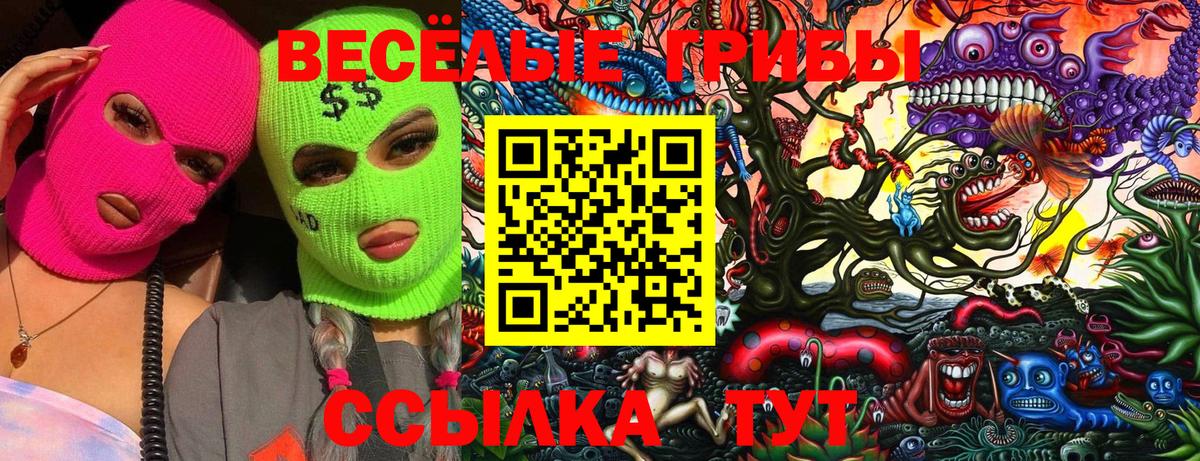 Псилоцибиновые грибы мицелий  Вход с VPN  Красногорск 